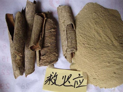 救必应