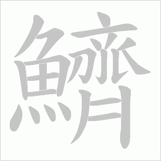 鱭