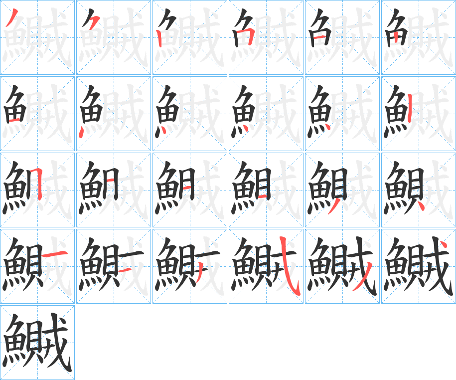鱡