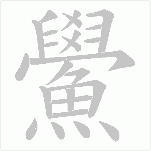 鱟