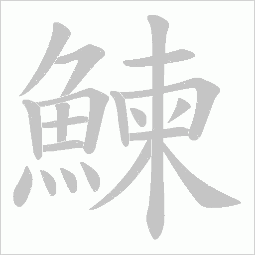 鰊