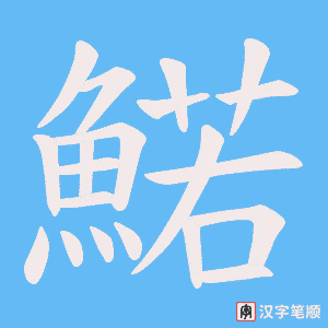 鰙