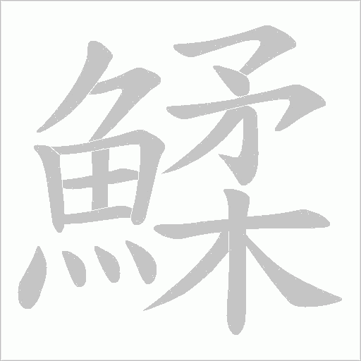 鰇