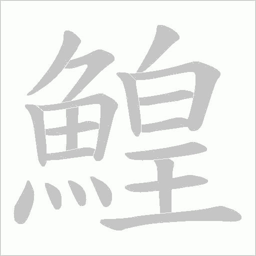 鰉
