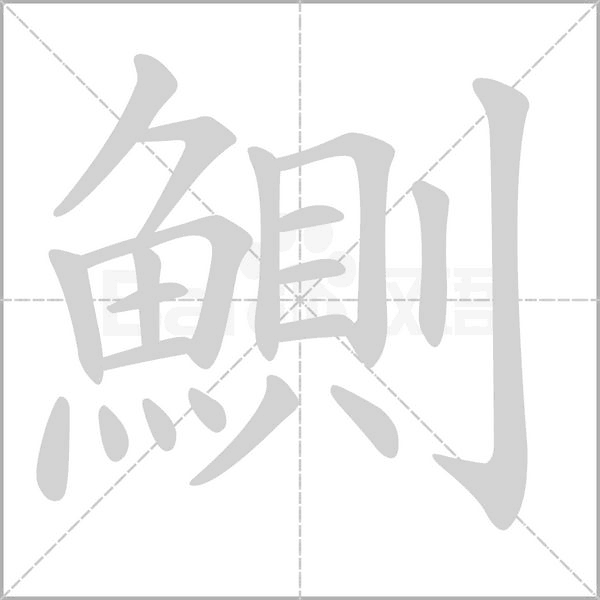 鰂