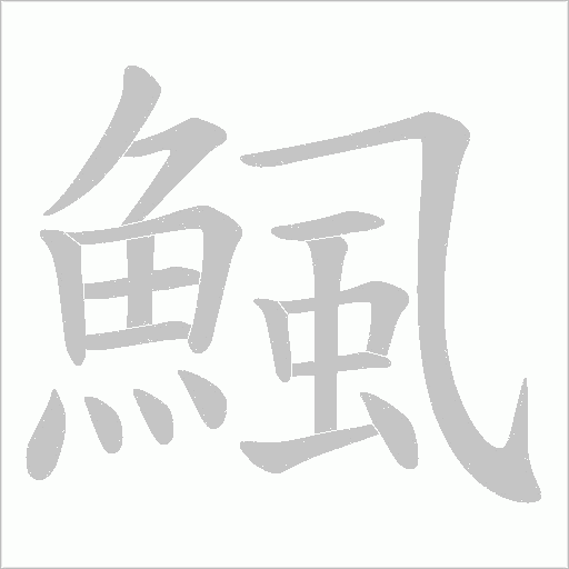 鯴