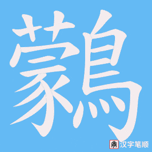 鸏
