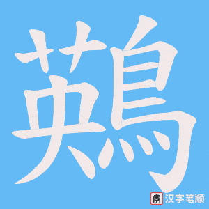 鶧