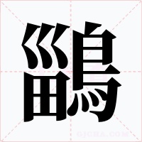 鶅