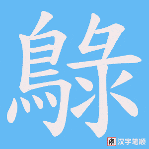 鵦