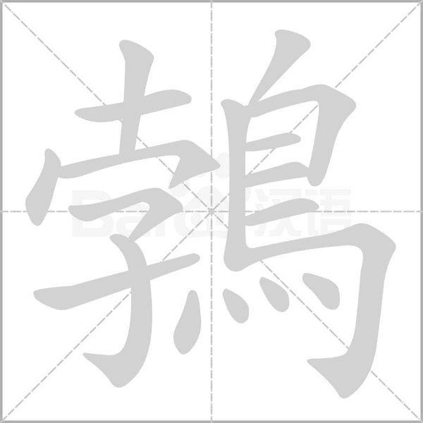 鵓