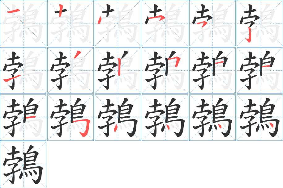 鵓