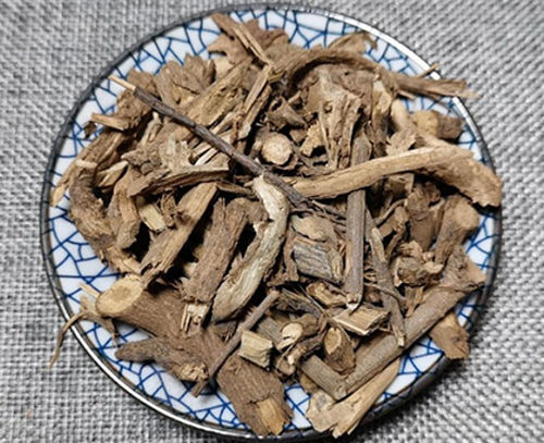 羊耳菊