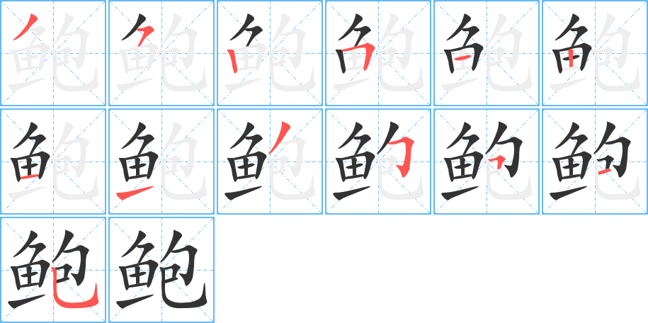 鲍