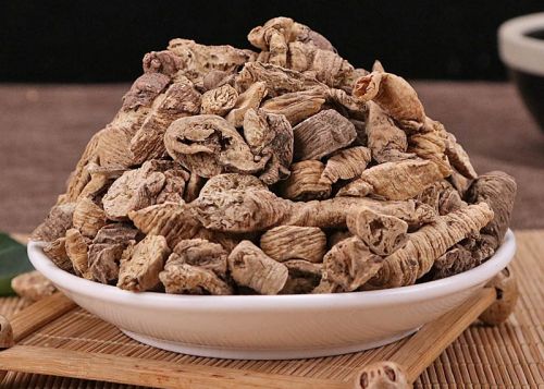 南沙参