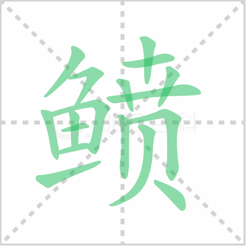 鲼