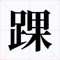 踝