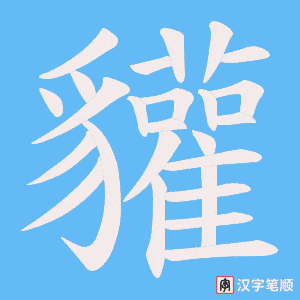 貛