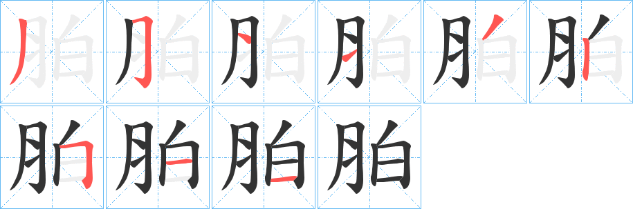 胉
