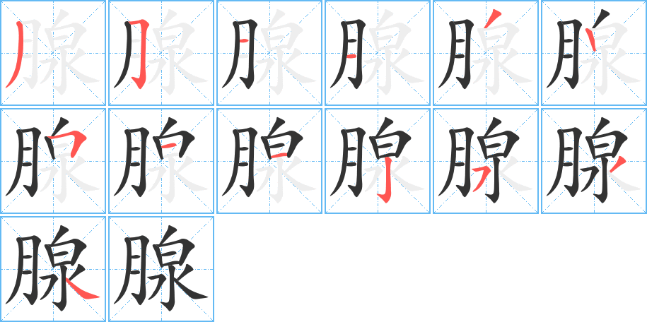 腺