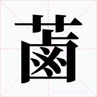 蓾