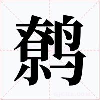鹩