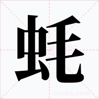 蚝