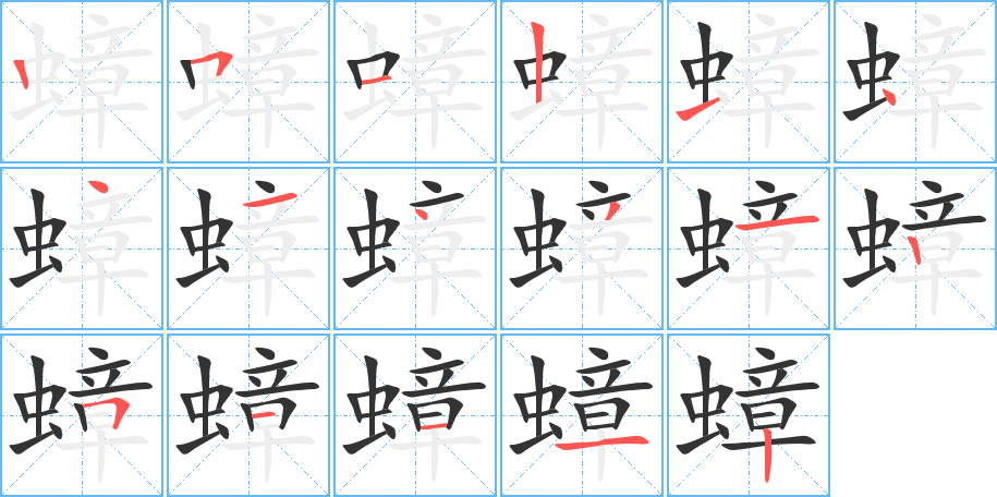 蟑