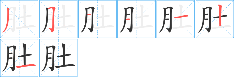 肚