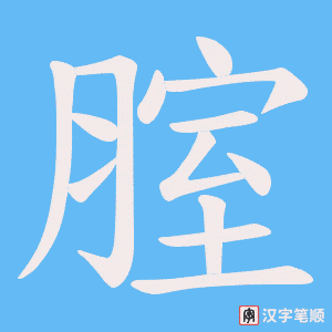 腟