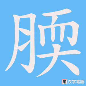 腝