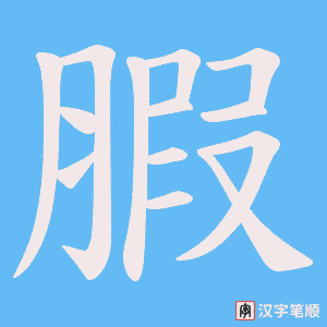 腵