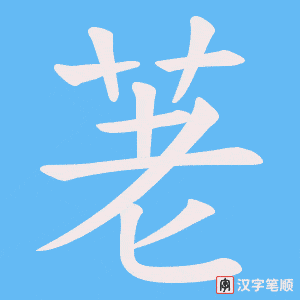 荖