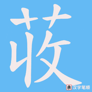 荍