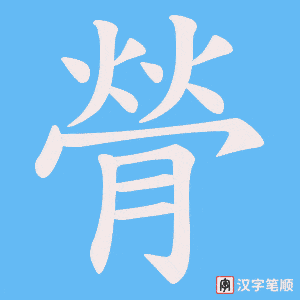 膋
