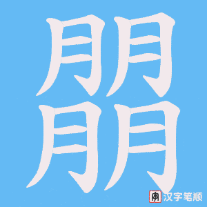 朤