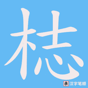 梽