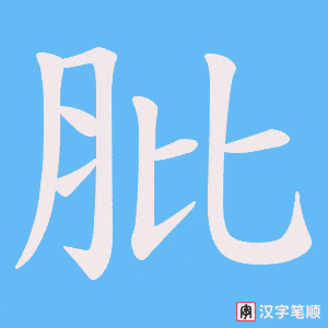 肶