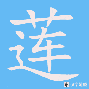 莲