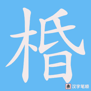 棔