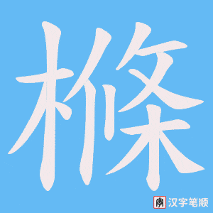 樤