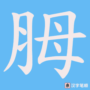 胟