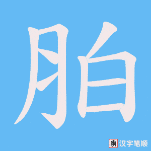 胉