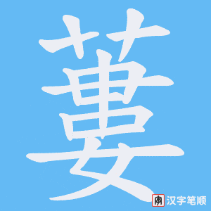 蔞