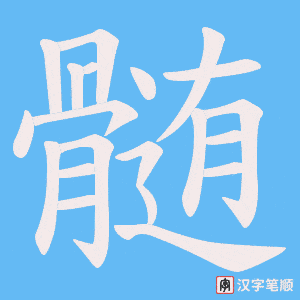 髄