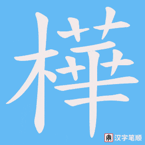樺