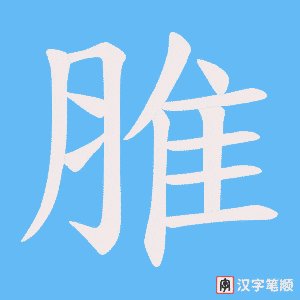 脽