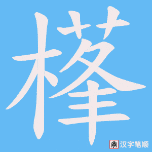 樥