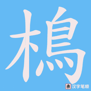 樢