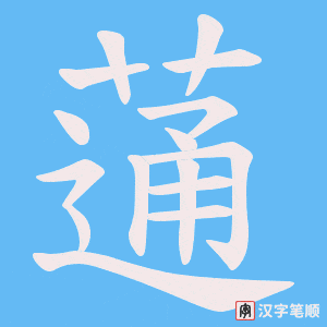 蓪